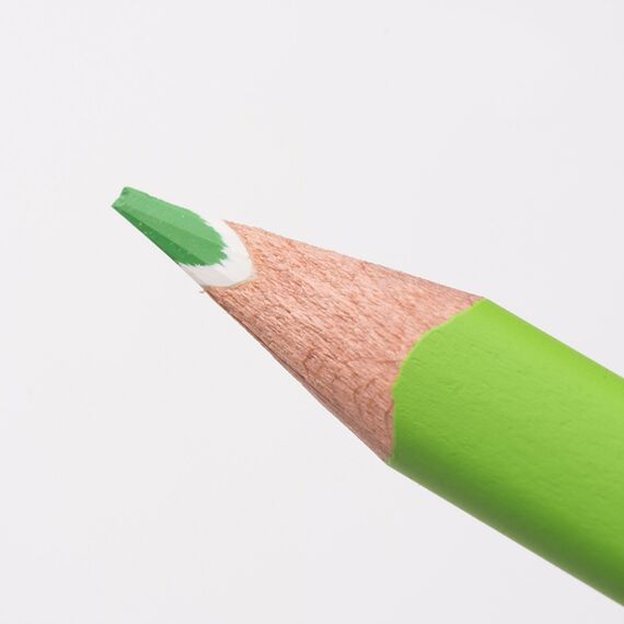 Creioane colorate STAEDTLER Ergo Soft, cutie plastic, 12 culori/set - 4Papet