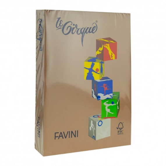 Carton colorat Maro piele A4, FAVINI, 160 g/mp, 250 coli/top, cod culoare 300 - Papet