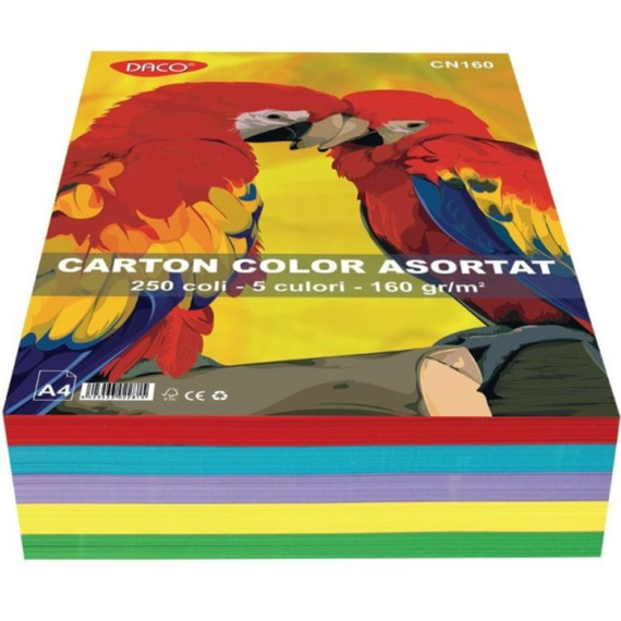 Carton colorat A4, 5 culori/top, DACO, 160 g/mp, 250 coli/top - 3Papet