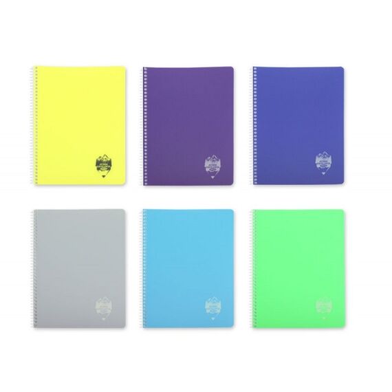 Caiet A4 cu spirala, coperta plastic, 96 file, DACO Atinge Excelenta, ALEGE LINIATURA: Velin (coala alba) - Papet