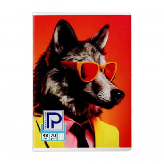 Caiet A5, 48 file, PAPERLAND, ALEGE LINIATURA: Matematica - 3Papet