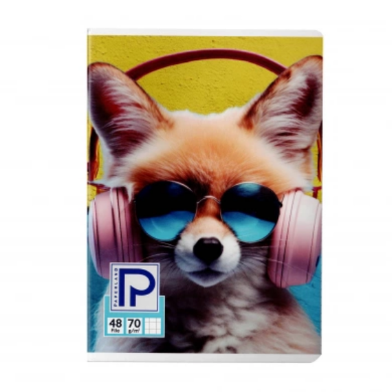 Caiet A5, 48 file, PAPERLAND, ALEGE LINIATURA: Matematica - 6Papet