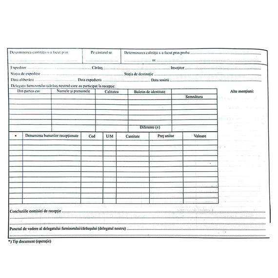 Nota de receptie si constatare diferente, A4, 100 file/set - 2Papet
