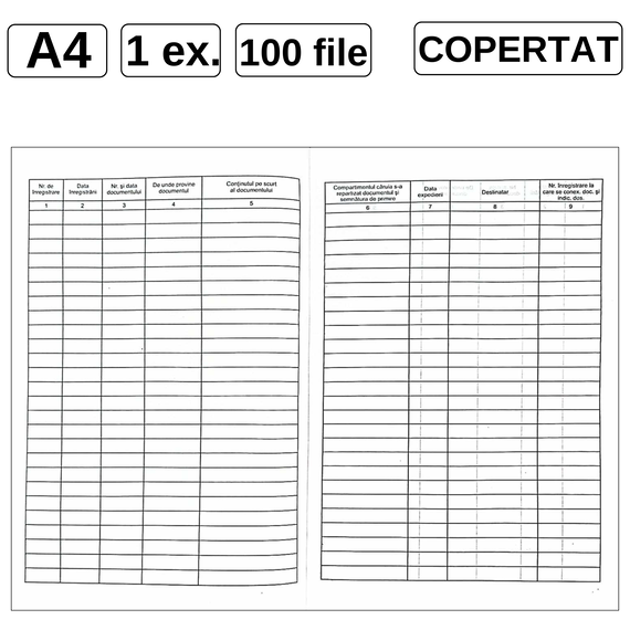 Registru intrare/iesire a corespondentei, A4, vertical, copertat, 100 file/set - Papet