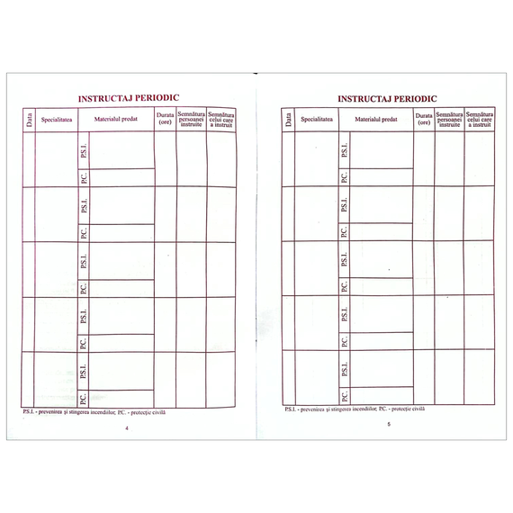 Fisa P. S. I. - carnet, A5 - 3Papet