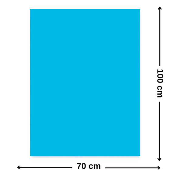 Carton colorat 70 x 100 cm, 220 g/mp, FAVINI, Albastru - Papet