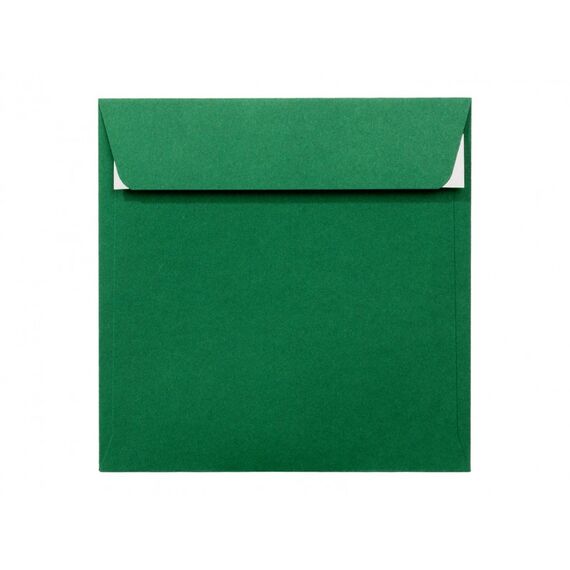 Plic color, 14 x 14 cm, Verde Padure, siliconic, DACO, 25 buc/set - Papet