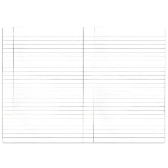 Caiet A5 cu spirala, 70 file, HERLITZ Economy, ALEGE LINIATURA: Dictando - 2Papet