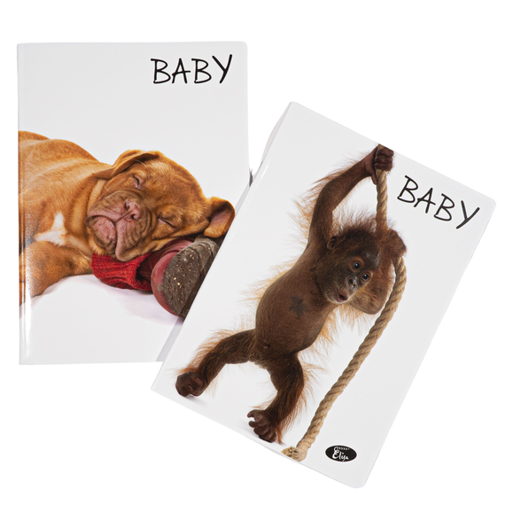 Caiet A5 tip I, 36 file, ELISA Baby Pets - Papet