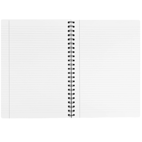 Caiet A4 cu spirala, coperta plastic, 100 file, PAPERLAND, ALEGE LINIATURA: Dictando - 2Papet