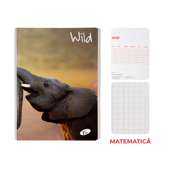 Caiet A5, 48 file, matematica, ELISA Wild - 2Papet