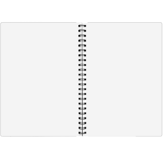 Caiet A4 cu spirala, coperta plastic, 100 file, PAPERLAND, ALEGE LINIATURA: Velin (coala alba) - 2Papet
