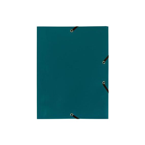 Mapa plastic A4, cu elastic EXACOMPTA, ALEGE CULOAREA: Verde - 2Papet