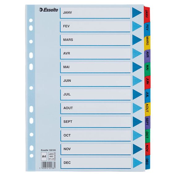 Separatoare carton A4, Ianuarie-Decembrie taste laminate, ESSELTE Mylar - Papet