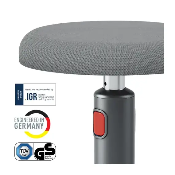 Scaun ergonomic, pozitie sezut/ in picioare, LEITZ Cosy - 2Papet