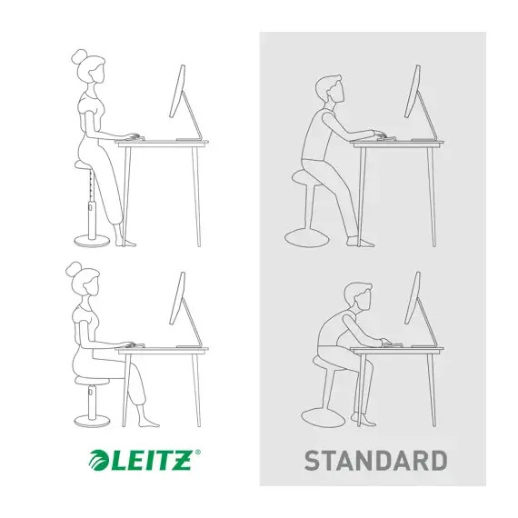 Scaun ergonomic, pozitie sezut/ in picioare, LEITZ Cosy - 4Papet