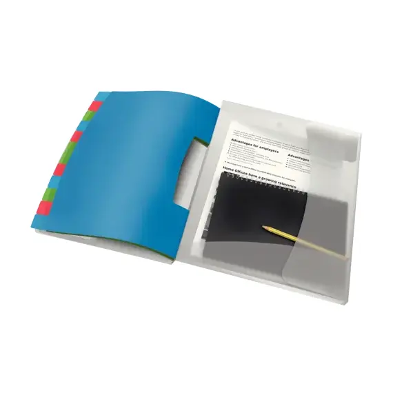 Mapa plastic A4 cu elastic si 12 separatoare, ESSELTE Vivida - 2Papet