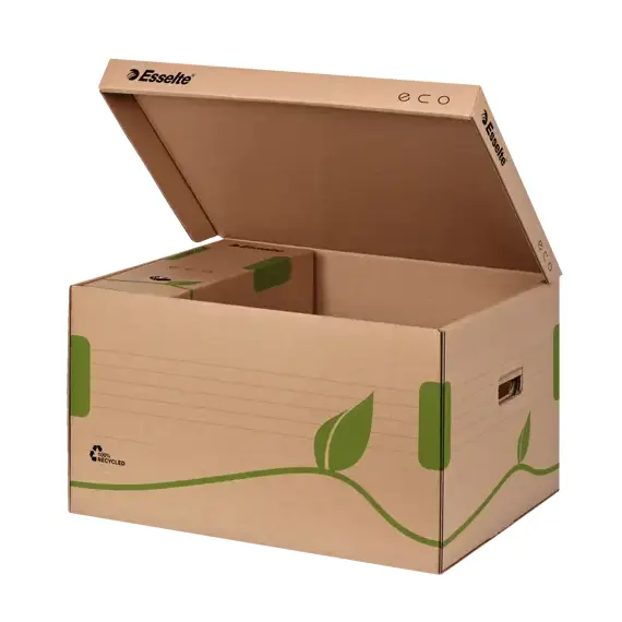 Cutie arhivare cu capac, ESSELTE Eco - Papet
