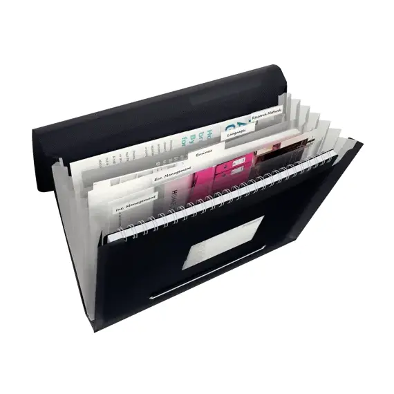 Mapa A4 extensibila cu 6 compartimente, ESSELTE Vivida, ALEGE CULOAREA: Negru - 3Papet