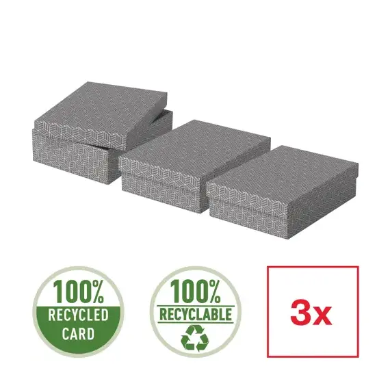 Set 3 cutii depozitare 360 x 260 x 100 mm cu capac, ESSELTE Recycle Gri - 2Papet