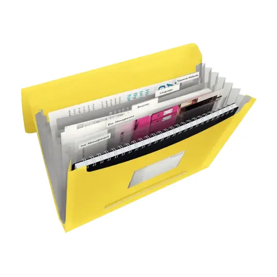 Mapa A4 extensibila cu 6 compartimente, ESSELTE Vivida, ALEGE CULOAREA: Galben - 3Papet