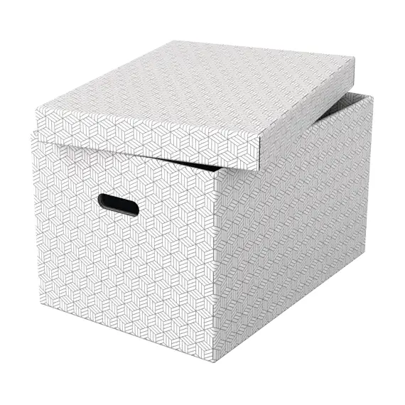 Set 3 cutii depozitare 510 x 350x 300 mm cu capac, ESSELTE Recycle Alb - 2Papet