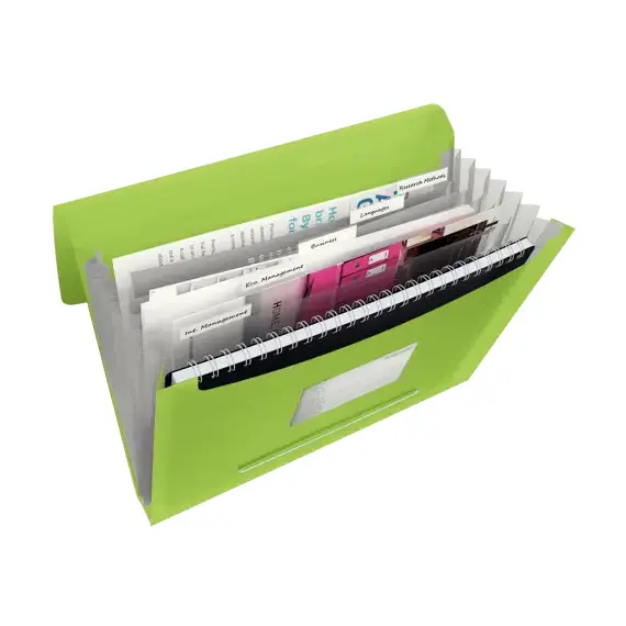Mapa A4 extensibila cu 6 compartimente, ESSELTE Vivida, ALEGE CULOAREA: Verde - 3Papet