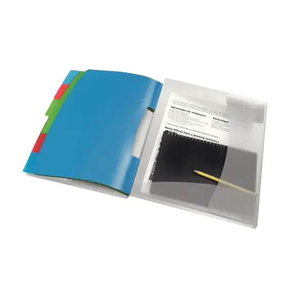 Mapa plastic A4 cu elastic si 6 separatoare, ESSELTE Vivida - 3Papet