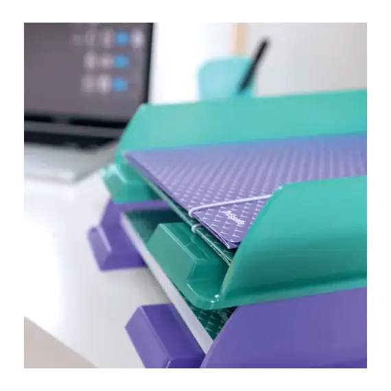 Tavita documente color, ESSELTE Colour Breeze, ALEGE CULOAREA: Verde - 3Papet
