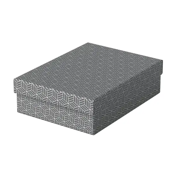 Set 3 cutii depozitare 360 x 260 x 100 mm cu capac, ESSELTE Recycle Gri - Papet