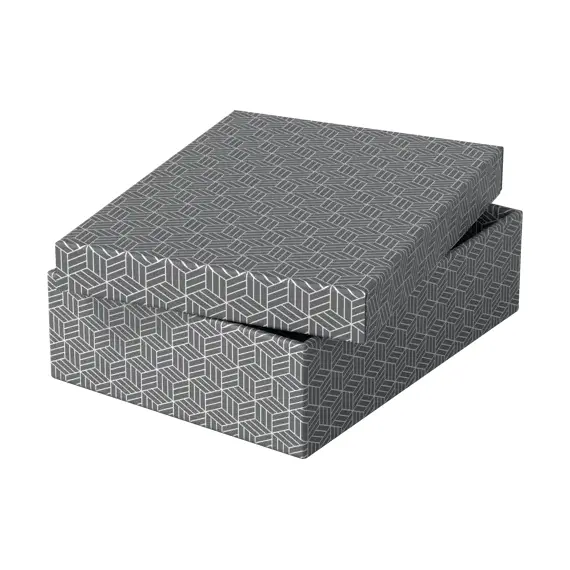 Set 3 cutii depozitare 360 x 260 x 100 mm cu capac, ESSELTE Recycle Gri - 3Papet