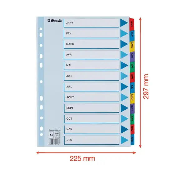 Separatoare carton A4, Ianuarie-Decembrie taste laminate, ESSELTE Mylar - 3Papet