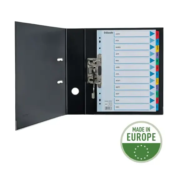 Separatoare carton A4, Ianuarie-Decembrie taste laminate, ESSELTE Mylar - 4Papet