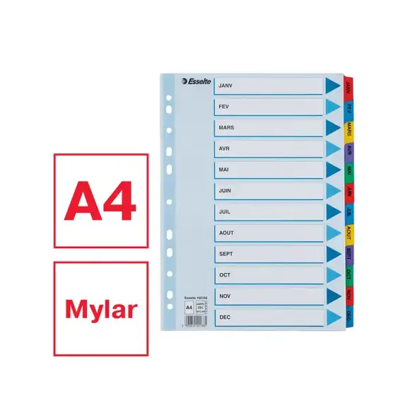 Separatoare carton A4, Ianuarie-Decembrie taste laminate, ESSELTE Mylar - 5Papet