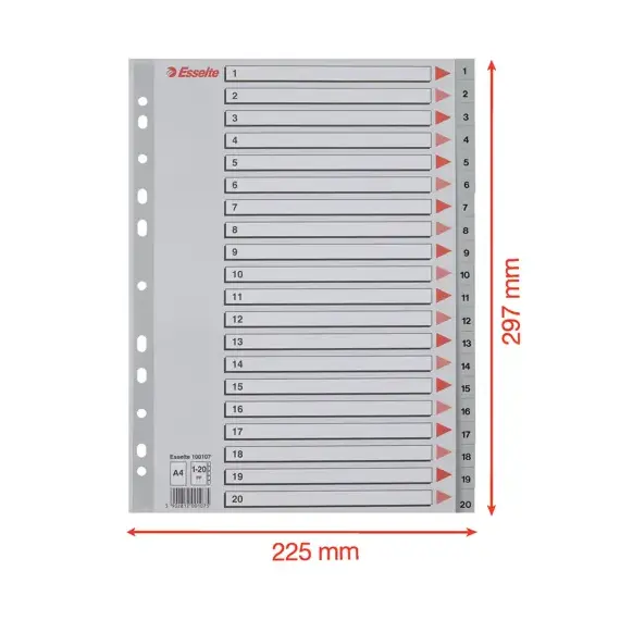 Separatoare plastic A4, numere de la 1-20, ESSELTE - 3Papet