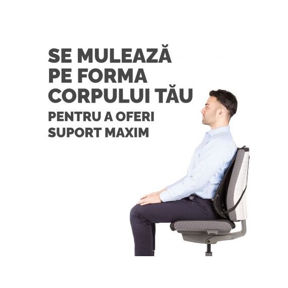 Suport ergonomic pentru spate, FELLOWES Mesh - 4Papet