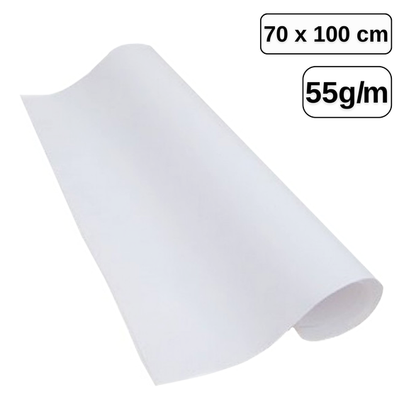 Hartie ambalaj, 70 x 100 cm, 10 coli/set, ALBA - Papet