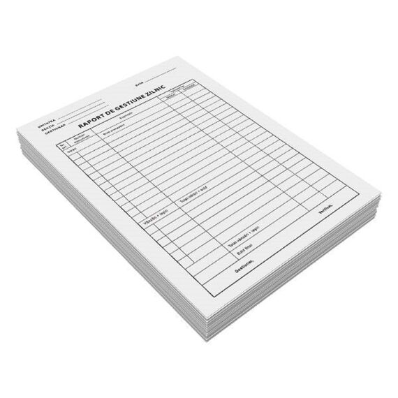 Raport de gestiune zilnica, A4, 100 file/set - 2Papet