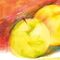 Creioane colorate STAEDTLER Karat Aquarell, cutie metalica, 48 culori/set - 4Papet
