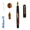 Stilou cu accesorii placate cu aur, PELIKAN Classic M200 F cu piston, Maroniu Marmorat - 2Papet