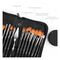 Pensule DACO Clarity, PN2915, 16 buc/set - 7Papet