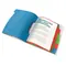 Mapa plastic A4 cu elastic si 6 separatoare, ESSELTE Vivida - 2Papet