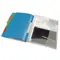 Mapa plastic A4 cu elastic si 6 separatoare, ESSELTE Vivida - 3Papet