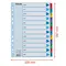 Separatoare carton A4, Ianuarie-Decembrie taste laminate, ESSELTE Mylar - 3Papet