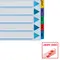 Separatoare carton A4, Ianuarie-Decembrie taste laminate, ESSELTE Mylar - 2Papet