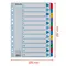 Separatoare carton A4, numere de la 1-12 laminate, ESSELTE Mylar - 4Papet