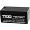 Acumulator AGM VRLA 12V, 3.5 Ah, dimensiuni 134 x 67 x 62 F1, TED Electric - Papet