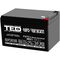 Acumulator AGM VRLA 12V, 12.5 Ah, dimensiuni 151 x 98 x 94 F2, TED Electric - Papet