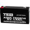 Acumulator AGM VRLA 6V, 1.4 Ah, dimensiuni 97 x 24 x 52 F1, TED Electric - Papet