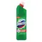 Solutie curatare toaleta DOMESTOS Extended Power, 750 ml, Alege aroma: Pine fresh - 2Papet